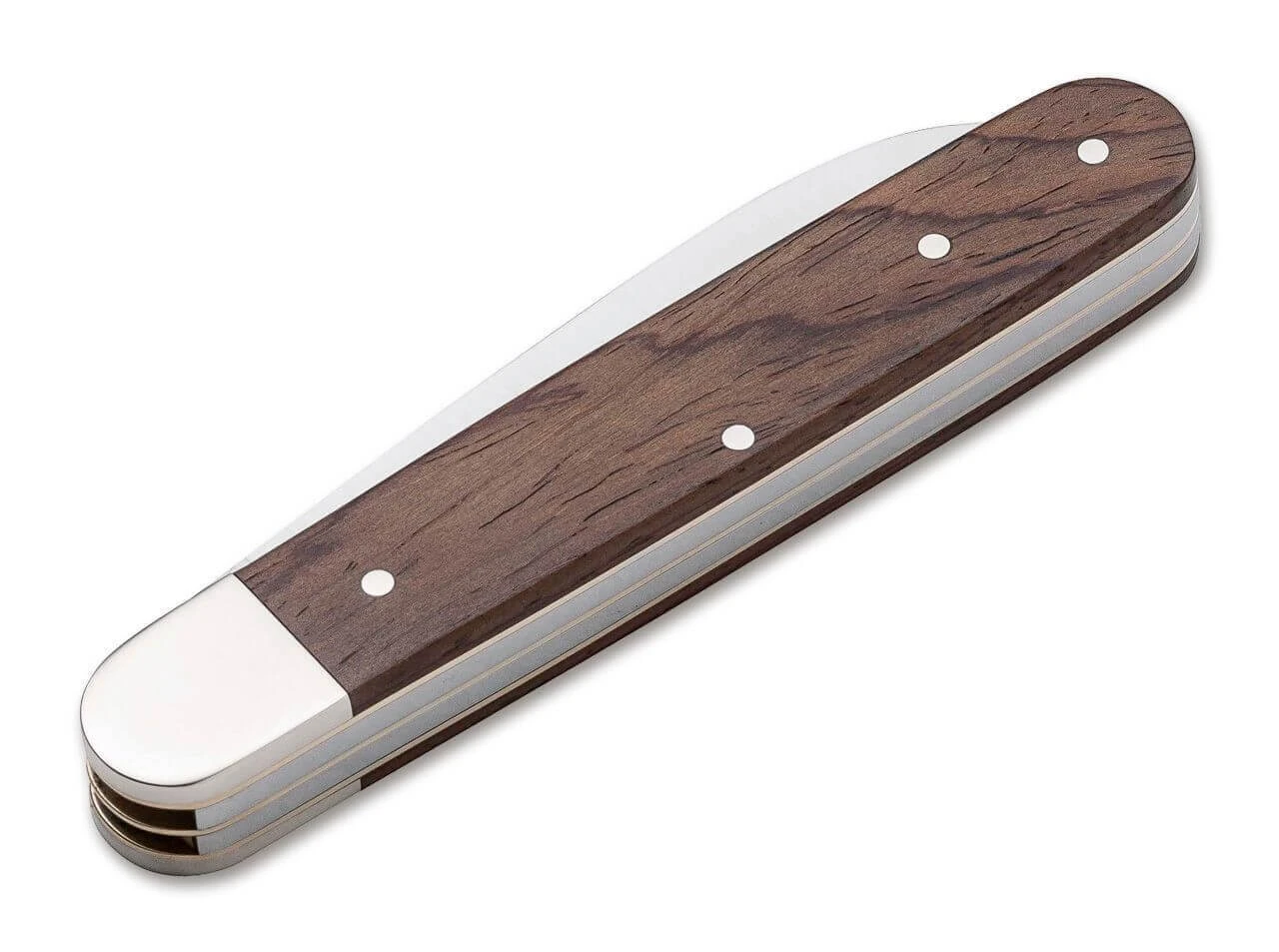 Enigma Cocobolo 4 Enigma Cocobolo – Bild 2